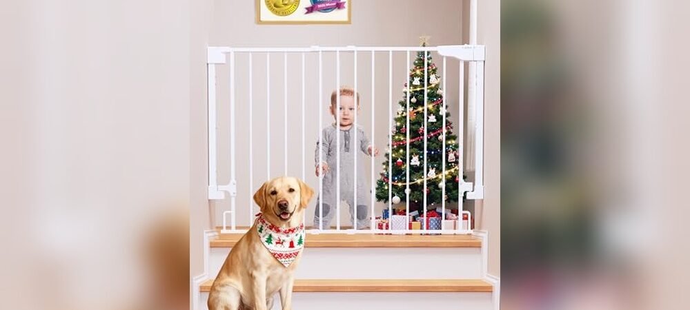 Best Baby Gates for Stairs