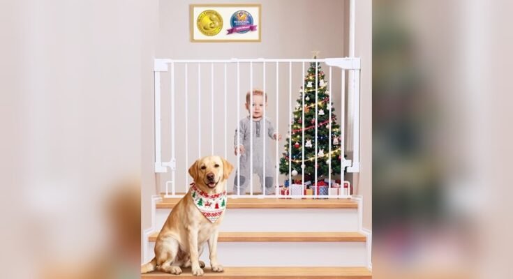 Best Baby Gates for Stairs