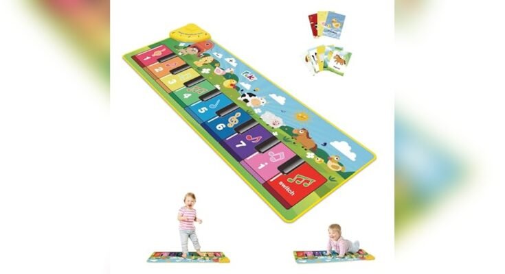 Best Interactive Musical Toys for Sensory Development