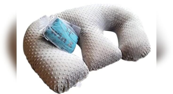 Best Nursing Pillows for Twins