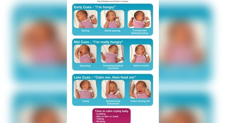 How Often Should a Newborn Breastfeed