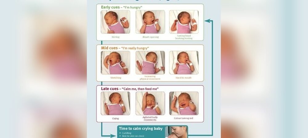 How to Know Newborn is Full