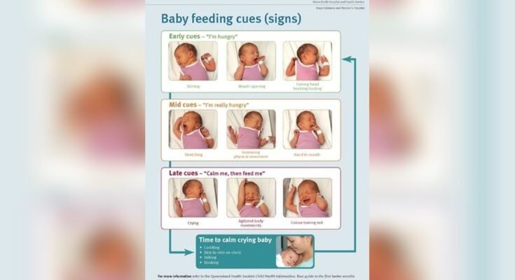 How to Know Newborn is Full