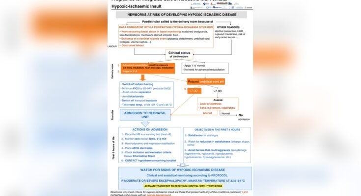 How to Monitor Alertness in Newborn