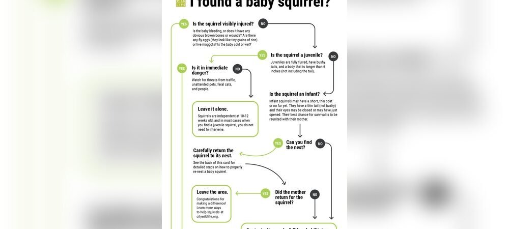How to Track Newborn Development Effectively