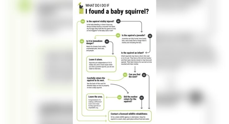 How to Track Newborn Development Effectively