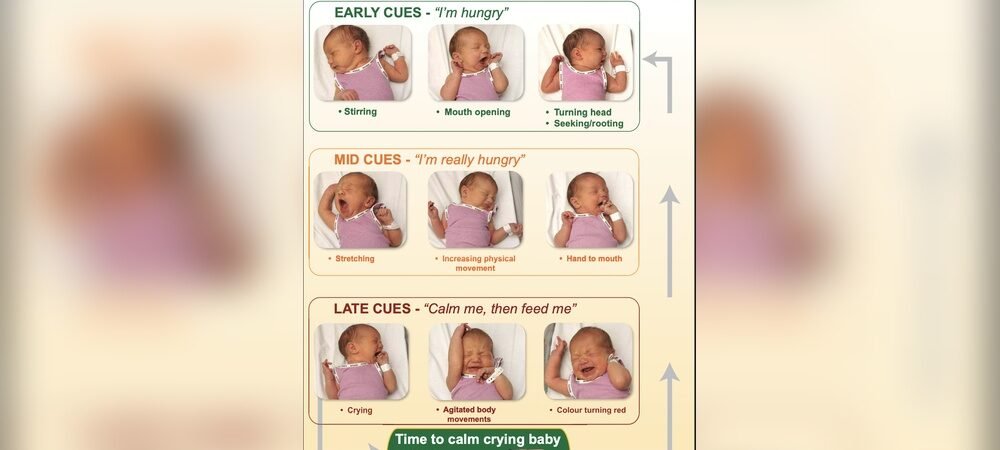 Signs Newborn is Hungry