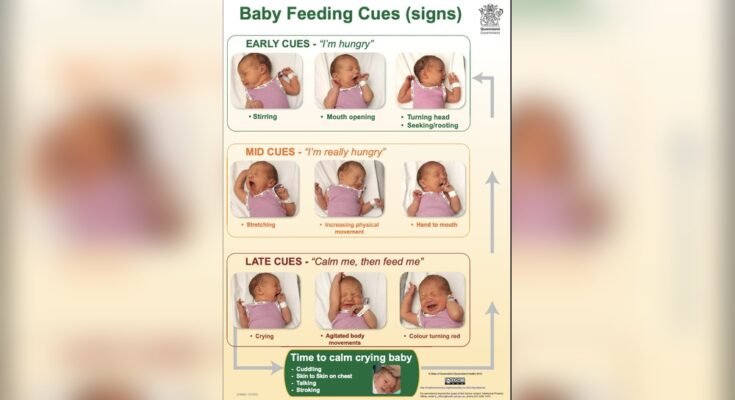 Signs Newborn is Hungry