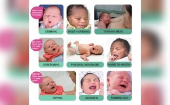 What are Communication Cues for Newborn