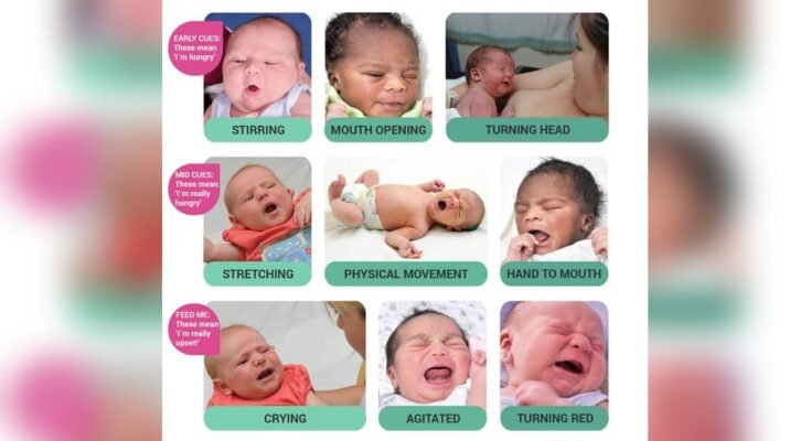 What are Communication Cues for Newborn
