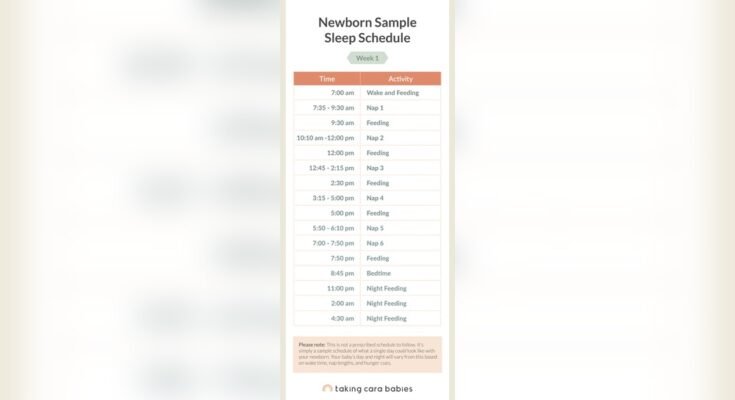What is a Newborn Sleep Schedule