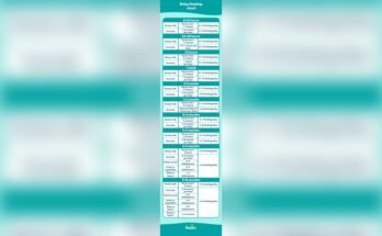 What is the Best Feeding Schedule for Newborn