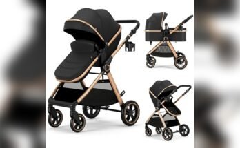 What Baby Stroller is Best for Tall Parents