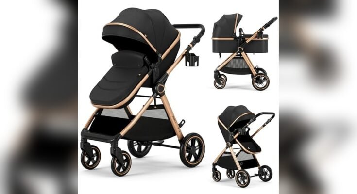 What Baby Stroller is Best for Tall Parents