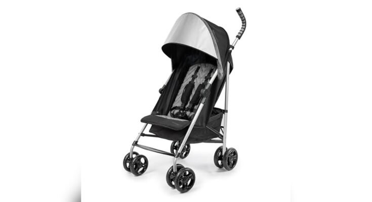 What Baby Stroller is Easy to Store at Home