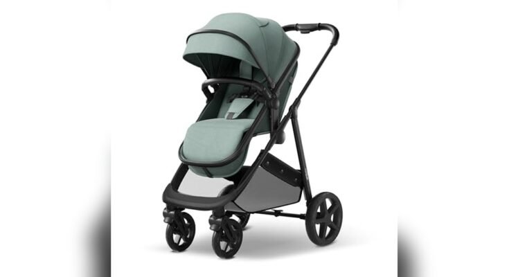 Which Baby Stroller is Best for Newborn to Toddler