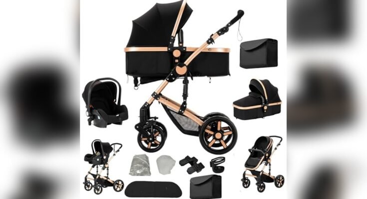 Which Baby Stroller is Best for Travel