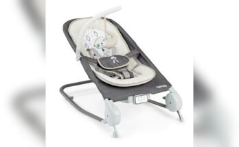 Best Baby Bouncer for Colic And Soothing
