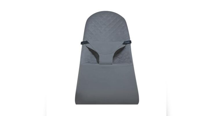 Best Baby Bouncer With Washable Cover